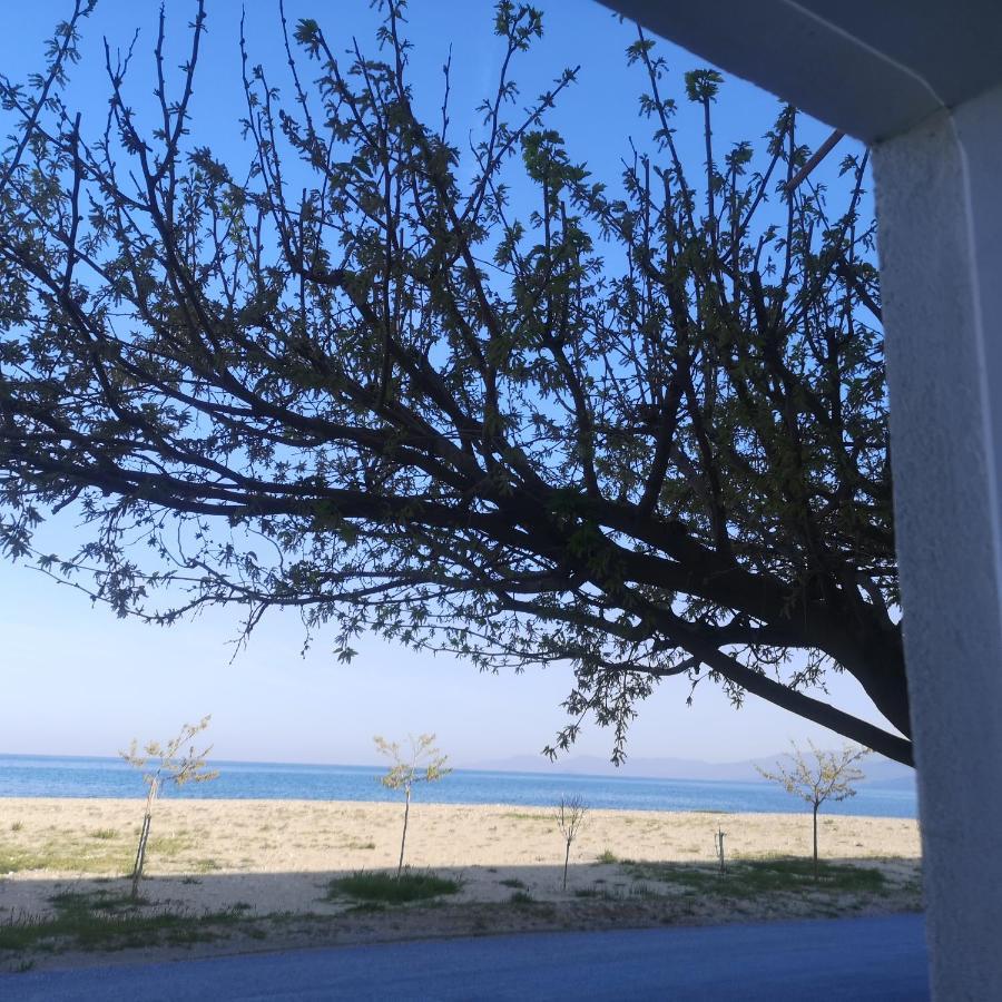 Greece Asprovalta Rooms Accomodation Apartment Hotel Petalo Exterior photo